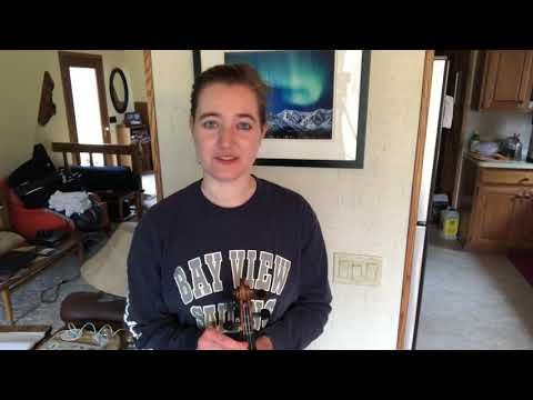 Irish Reels: Martin Wynne’s No. 2/The Man from Dunblane