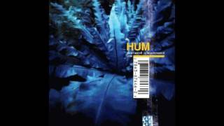 Hum- Afternoon with the Axolotls (HD)