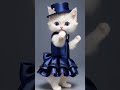 cute cat dancing 💃 cat catdance قطة catlover cute kitten