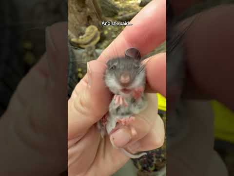 The new release spot… I call it “The Rat Hole!” (Btw-I don’t release during winter! This was Sept)