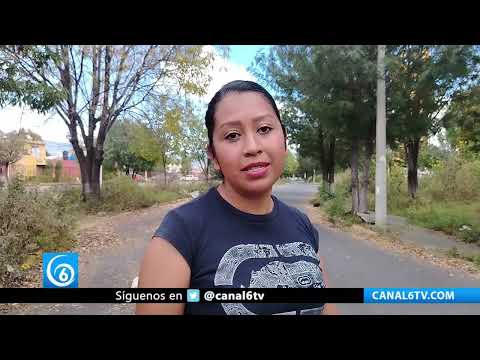 Video: Parques de Pueblo Nuevo, Chalco en total abandono