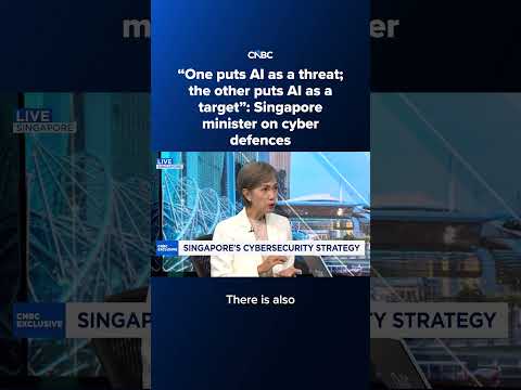 'One puts AI as a threat; the other puts AI as a target': Singapore minister on cyber defences