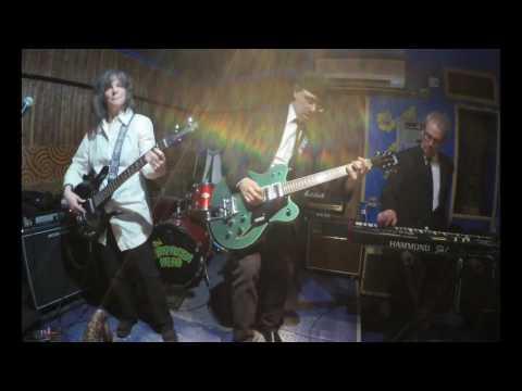 TarantinosNYC - Green Onions - live at Otto's Shrunken Head  (Booker T & the M.G.'s)