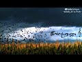Ilayaraja Songs Whatsapp Status Muthu Mani Maalai Whatsapp Status MMRStatus