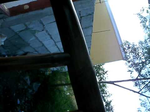 rogelio's wondering the nature