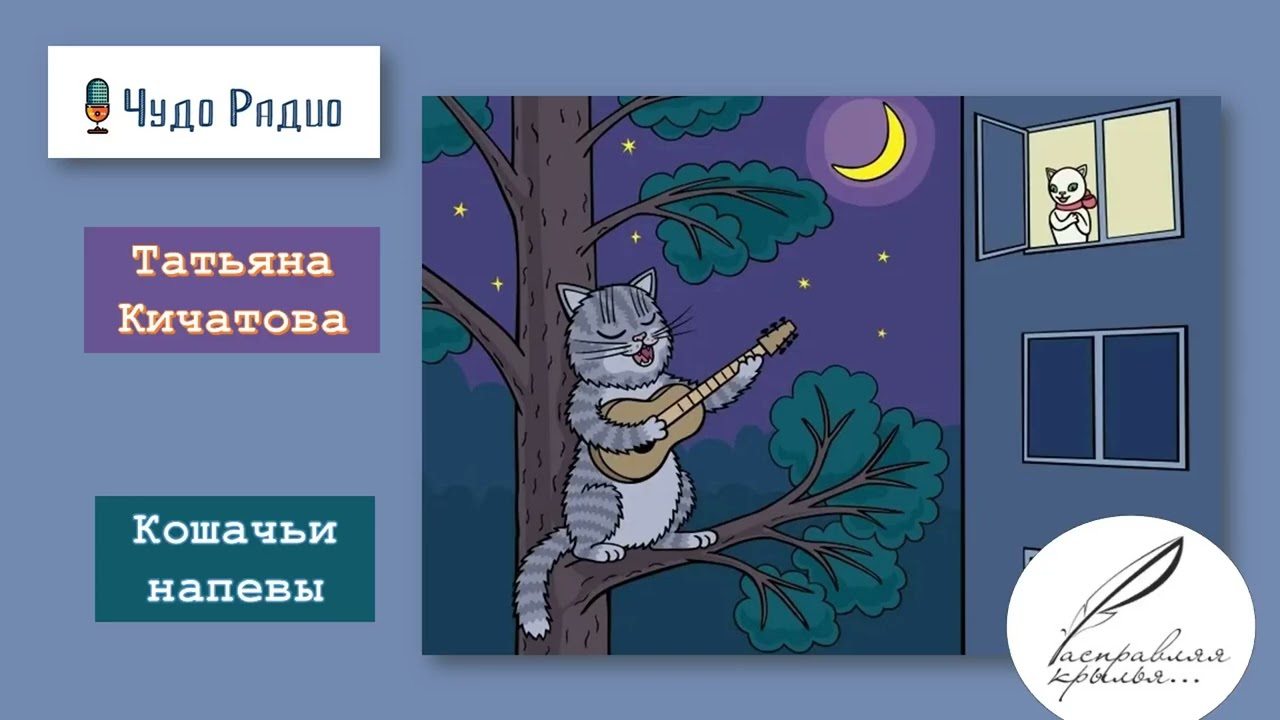Кошачьи напевы. Татьяна Кичатова 