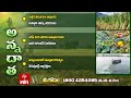 25th June 2025 Annadata అన్నదాత Full Episode ETV Telugu