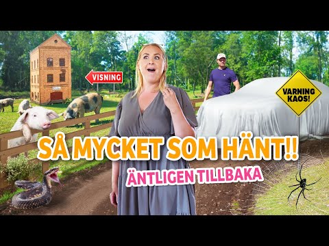 VI ÄR TILLBAKA!! 🐖 | VLOGG #537