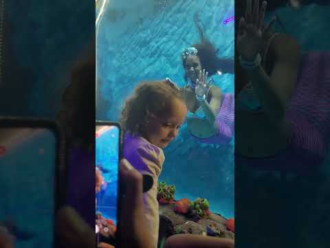 Lavínia no Aquário de São Paulo 🐟