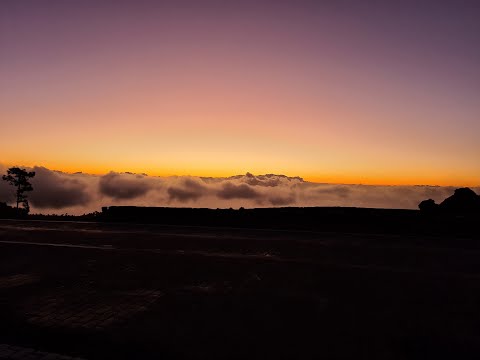 Teneryfa 2023 / Masca / Costa Adeje / Top