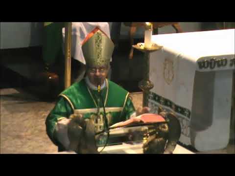 HOMILIA: O CAMINHO DA PORTA ESTREITA - DOM JOSÉ FRANCISCO FALCÃO-25/8/2019-BRASÍLIA-DF