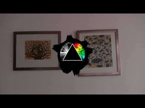 Outwild x She is jules - Golden (NCAFREE)