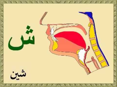 Arapca Hareflerin Maharecleri Bogaz Cikis Yerleri