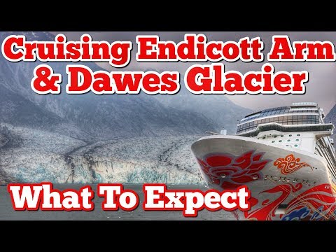 Cruising the Endicott Arm & Dawes Glacier - Alaska - What to Expect