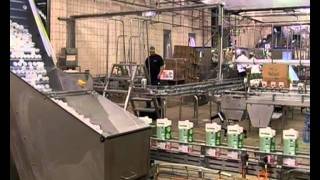 Processing Parmalat Milk at the Factory on eXpresso
