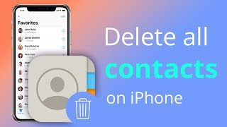 How to Delete Multiple/Single Contacts on iPhone
