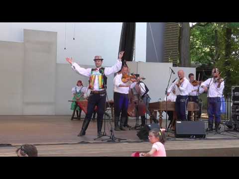 Strážnice 2017 předkolo - Michal Závodný