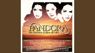 Gotitas De Miel (Live)