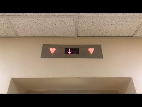 Modded Standard Hydraulic Elevator (Car 2) | Marie Mount Hall | Univ of Maryland | College Park, MD