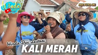 Download lagu KALI MERAH || WINDA DWI LESTARI || ANDI PUTRA 1 || MUNDUSARI KP. KEBON JAYA PUSAKANEGARA mp3 Download lagu KALI MERAH || WINDA DWI LESTARI || ANDI PUTRA 1 || MUNDUSARI KP. KEBON JAYA PUSAKANEGARA mp3