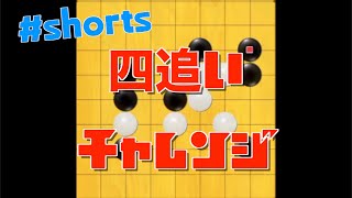 四追いチャレンジやってみた【五目クエスト】【#shorts】