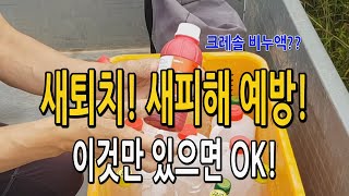 농작물 새퇴치 새피해 예방! 이것만 있으면 쉽게 해결됩니다.  조류기피제 크레솔비누액 들깨 참깨 율무..