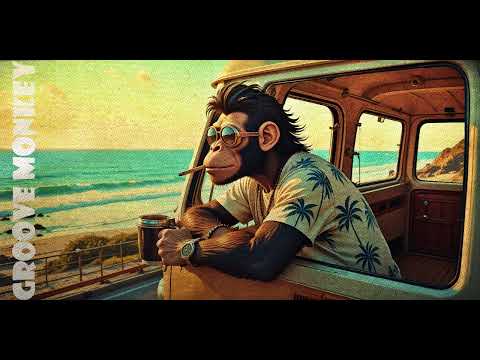 Mapless Soul (- Groove Monkey -)