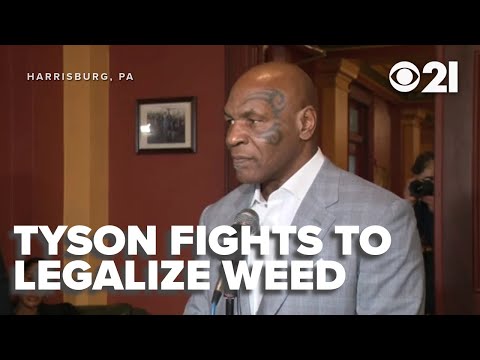 Mike Tyson lotta per legalizzare la marijuana ricreativa in Pennsylvania; i critici mettono in du...