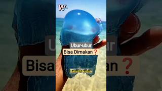 Download lagu Jelly Fish:Dari Laut Jadi Hidangan Lezat Bernutrisi❗#warungshort #uburubur#jellyfish#seafood#kuliner mp3 Download lagu Jelly Fish:Dari Laut Jadi Hidangan Lezat Bernutrisi❗#warungshort #uburubur#jellyfish#seafood#kuliner mp3