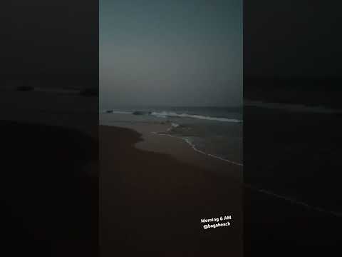 @Rafi-Raheel #beach #viralvideo #video #ytshorts #shorts #viralshorts #reels #nature #love #goa