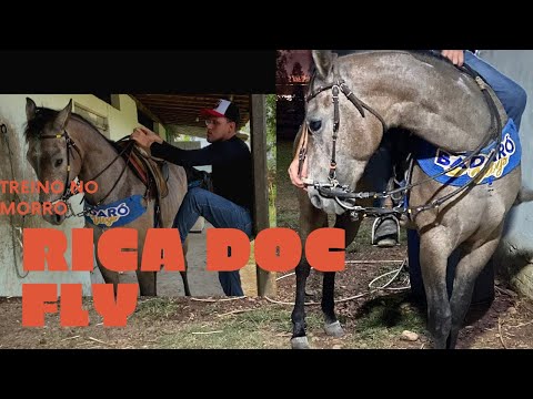 PRIMEIRA VEZ QUE MONTEI EM RICA DOC FLY e NA TROPA  FAZENDO EXERCICIOS