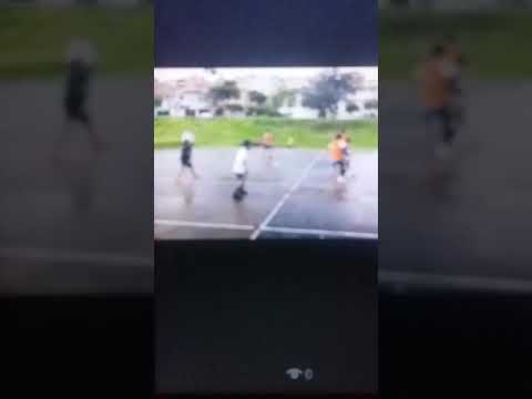 My hobby wilson reino