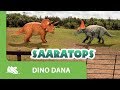 Dino Dana |  Episode Promo | Who would win? Triceratops, Diabloceratops, or Kosmoceratops