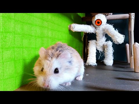 MAJOR HAMSTER's all BOSS, ZOMBIE, ROBOT and MONSTER KILLS