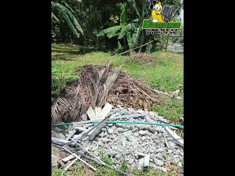 "La Isla" Chigorodó - Antioquia