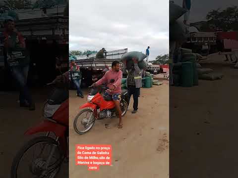 feira da silagem cachoeirinha Pernambuco