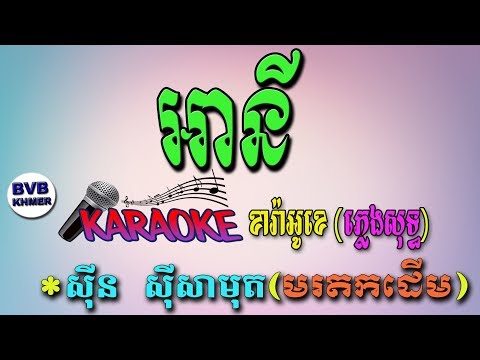 29.អានី-ភ្លេងសុទ្ធ ខារ៉ាអូខេ | Any | Karaoke Pleng Sot | BVB KHMER