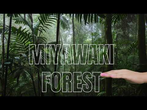 Vídeo da floresta Miyawaki da Eastman