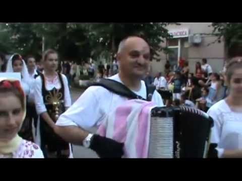 Nenad Ibrahimovic (Karneval cveca 2012)