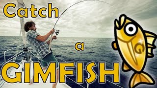 How to catch a GimFish worth $5000