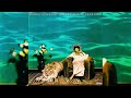 Minnie Riperton - Feelin' That Your Feelin's Right【432Hz】