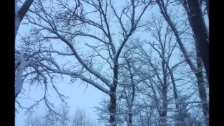 Hippy Girl By Alex Winkler