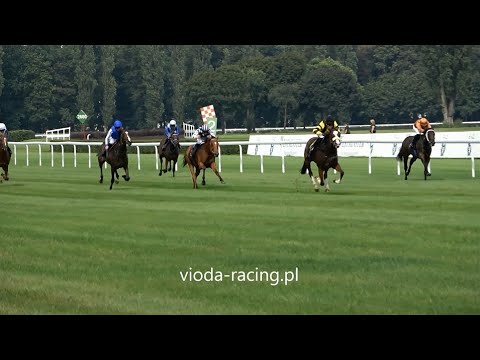 Gon. II - 27.08.2023 - Stage Door (Soldier's Call - Divine Act)