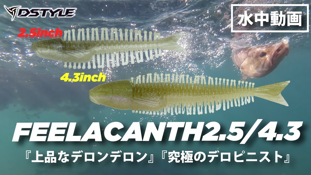 【公式】上品なデロンデロン！！FEELACANTH（フィーラカンス）2.5 / 4.3インチ / 水中動画