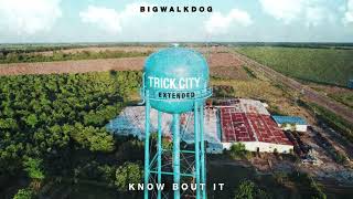 BigWalkDog - Know Bout It [Official Audio]