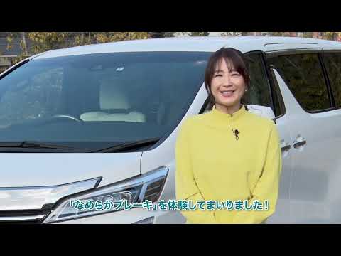 アルファード・ヴェルファイア(2015～2023)(TOYOTA)のカスタム