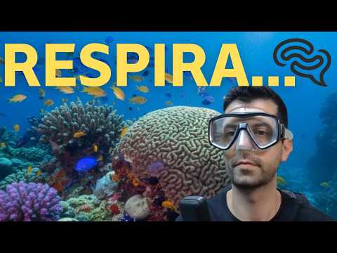 UNIFESP 2024 - Q12 - Um mergulhador e seu equipamento, que totalizam 90 kg, estão em repouso