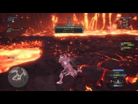 Mhw I手伝います モンスターハンターワールドアイスボーンの色々を手伝います 趣味 ゲームのアドバイス ココナラ