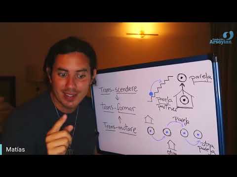 Día 330 - TRANSMUTACION - Matias De Stefano - edición en español