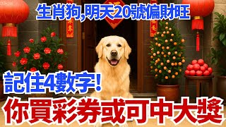 生肖狗注意！明天20號，農曆八月二十九，你的偏財旺！「這4個數字」一定要記住，買彩券或可中大獎！#生肖狗 #屬狗 #偏財運 #財運 #幸運數字 #生肖 #命理 #開運 #風水 #運勢 #運程